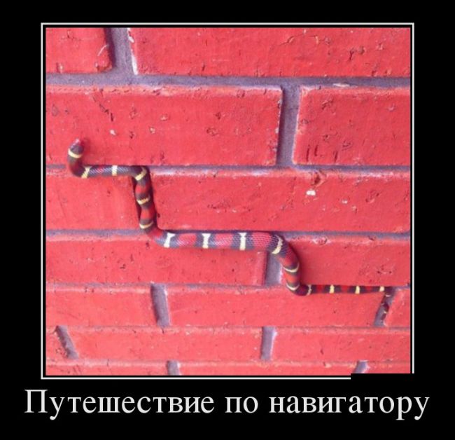 Свежие демотиваторы для веселого настроения (11 фото) Свежие демотиваторы для веселого настроения (11 фото)