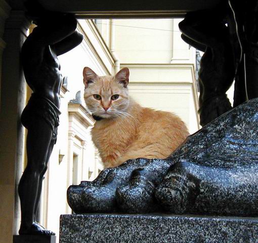 50 интересных фактов о России россия, факты, гордость