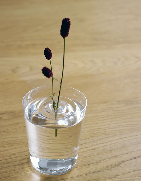 ��������� ���� (1)