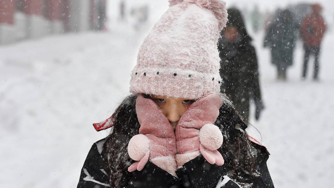 Иммунолог оценил важность ношения шапки зимой