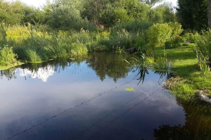 Купили заросший домик и сделали из него сказку