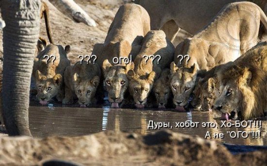 Для хорошего настроения 4