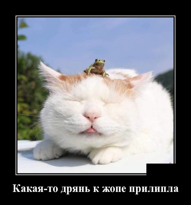 Демотиваторы Демотиваторы
