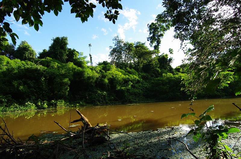 Amazonas09     