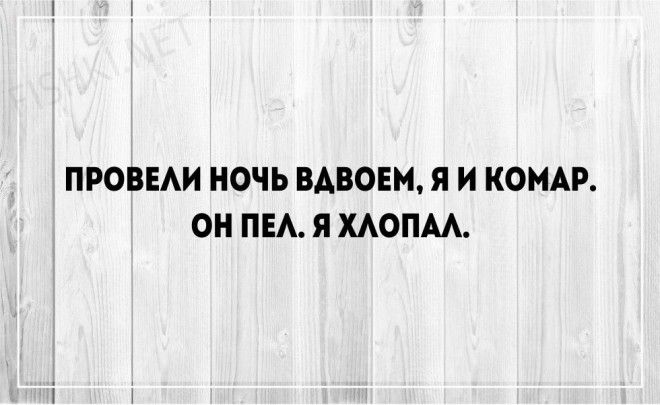 Жена - пришедшему мужу: - Почему кеды в губной помаде? Опять по бабам ходил? Жена - пришедшему мужу: - Почему кеды в губной помаде? Опять по бабам ходил?