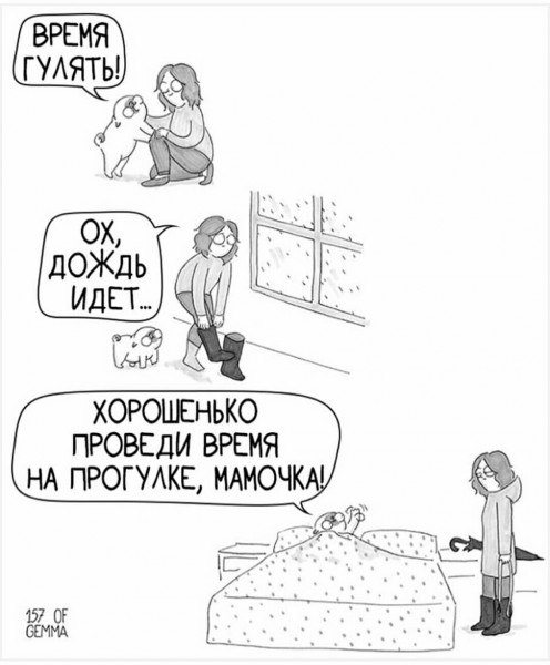 Осенние пятничные котики Осенние пятничные котики