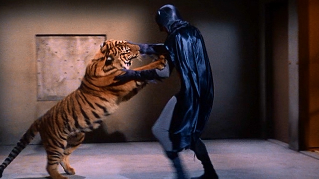 Batman-Tiger
