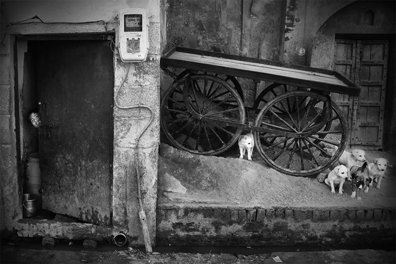 "Аллея радости" (фото: Грейс Пуй Ван Хо, Малайзия B&W Child Photo Contest, детство, конкурс, победитель, ребенок, снимок, фотография