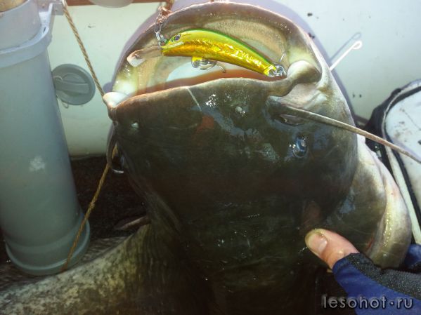 Одним слово Море! Одним слово Море!