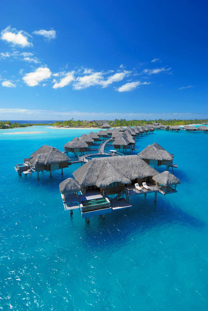   Four Seasons  -