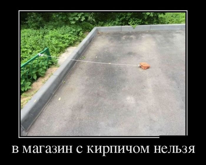 Свежие демотиваторы для веселого настроения (11 фото) Свежие демотиваторы для веселого настроения (11 фото)