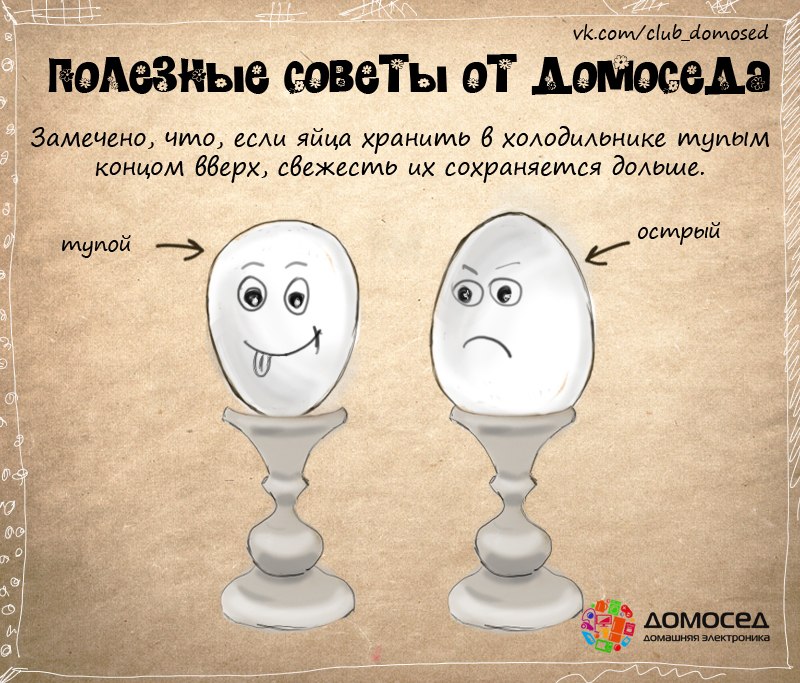 Как правильно хранить яйца Как правильно хранить яйца