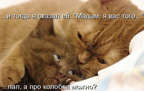 Для хорошего настроения 4