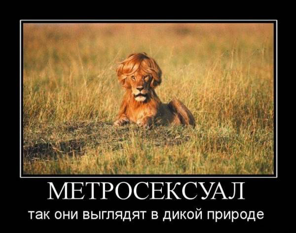 Прикольные демотиваторы (30 фото) Прикольные демотиваторы (30 фото)