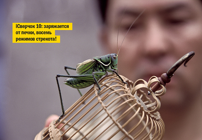 Если не кот, то кто? Неожиданные животные, которых раньше держали в домах Если не кот, то кто? Неожиданные животные, которых раньше держали в домах' data-src='https://www.maximonline.ru/images/th/100/18/98182-NDZjMzY5NjFkMw.jpg