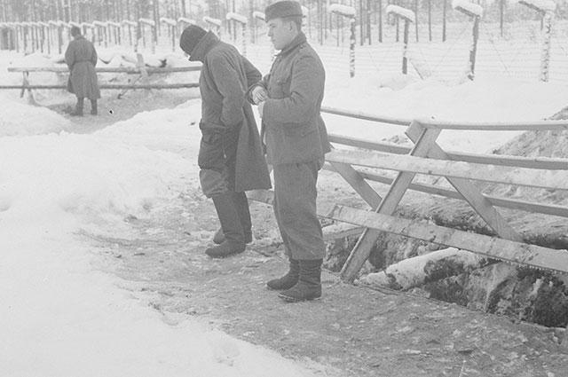 «Земля ночью стонет». Почему финны не признают вину в военных преступлениях