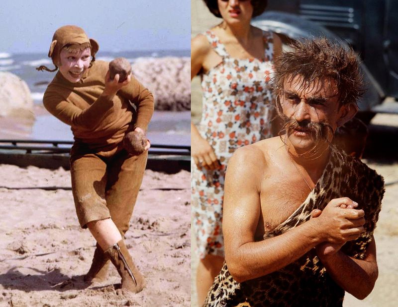 �������� ����, �������� ����, ���������� ����, �������