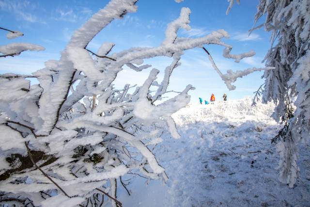 Морозы до минус 15 градусов вернутся в Москву в конце февраля