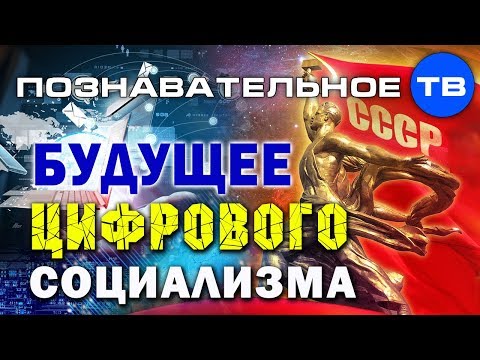 ОЛЕГ ЦАРЁВ О ЦИФРОВОМ СОЦИАЛИЗМЕ