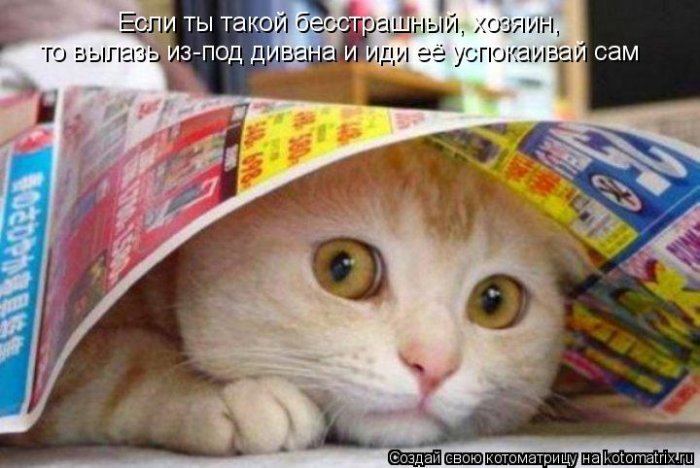 Мысли вслух :)