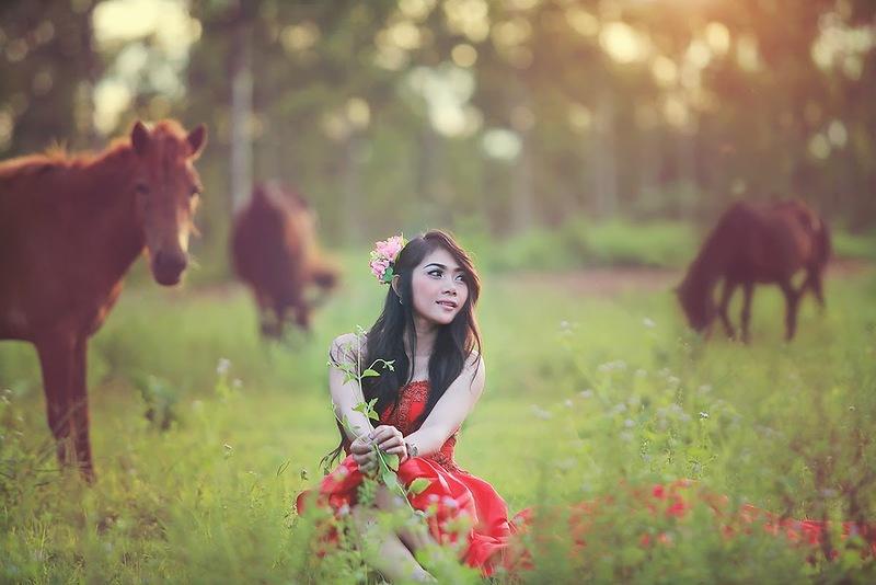 Whanset20 �������� �������� ������� � ����������� �������� �������