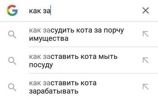 Забавные картинки с надписями со смыслом (12 фото) Забавные картинки с надписями со смыслом (12 фото)