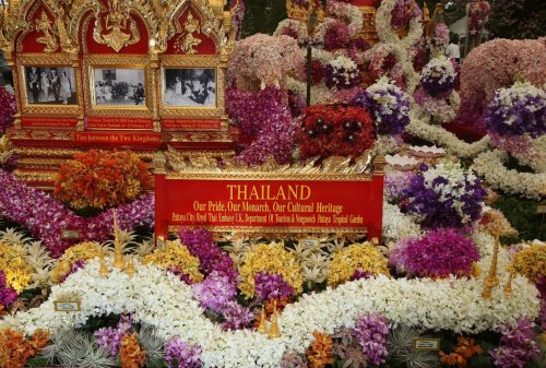 Цветочная выставка Chelsea Flower Show 2014 (24 фото)