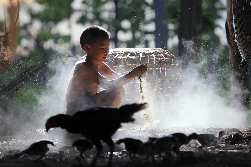 Whanset18 �������� �������� ������� � ����������� �������� �������