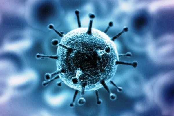 В Голландии вплотную подошли к созданию вакцины против COVID-19