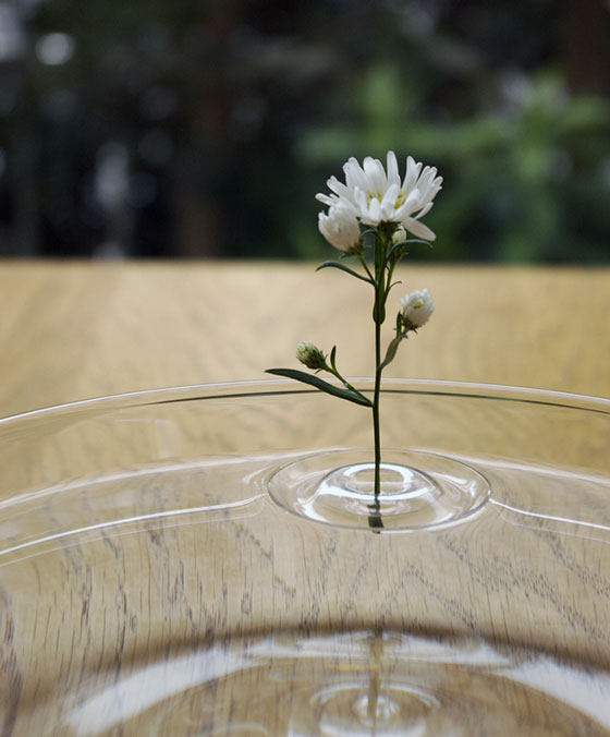 ��������� ���� (3)