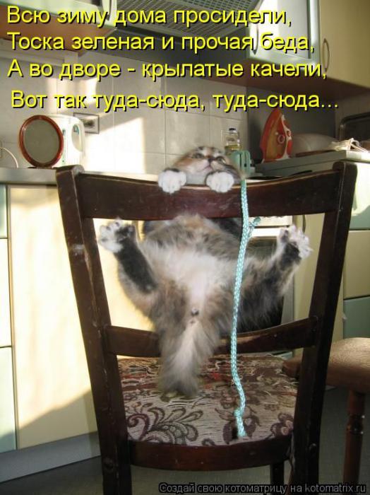 Котоматрицы (картинки с надписями)
