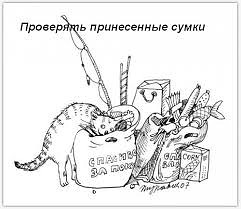 Обязанности кота по дому (9 фото) Обязанности кота по дому (9 фото)