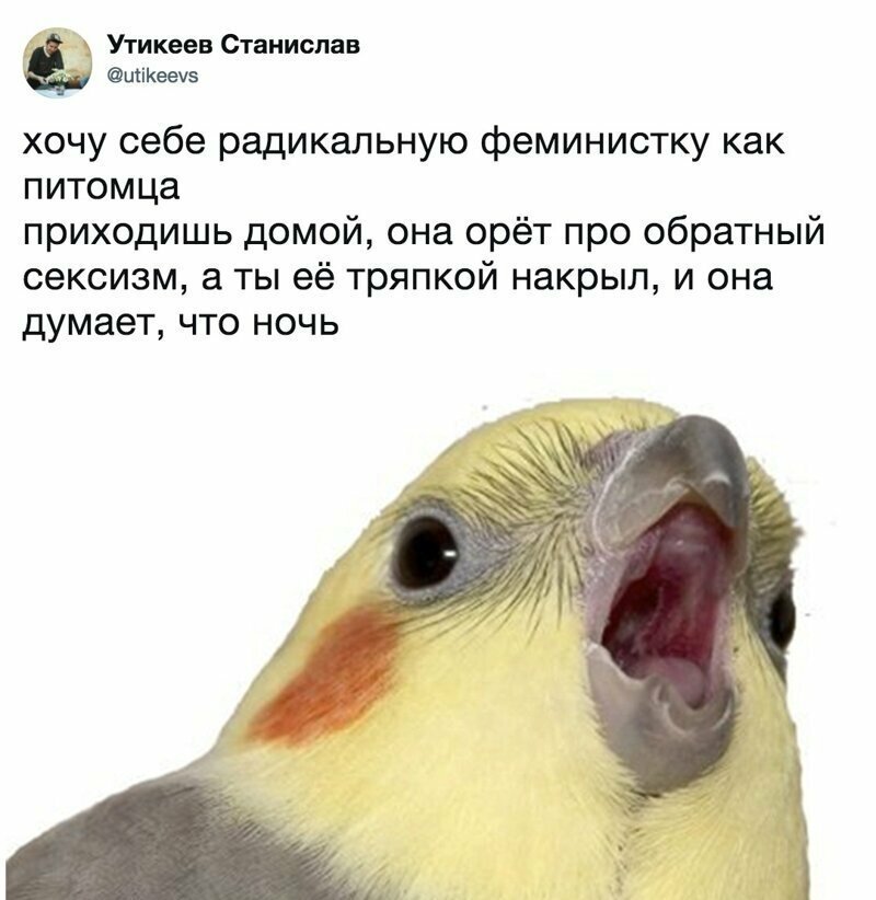 Мужчины не стесняются в выражениях в разговорах о женщинах Мужчины не стесняются в выражениях в разговорах о женщинах
(20 фото)
