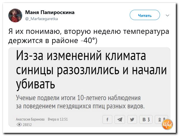 Обзор ситуации в мире с сарказмом и ехидной улыбкой Обзор ситуации в мире с сарказмом и ехидной улыбкой