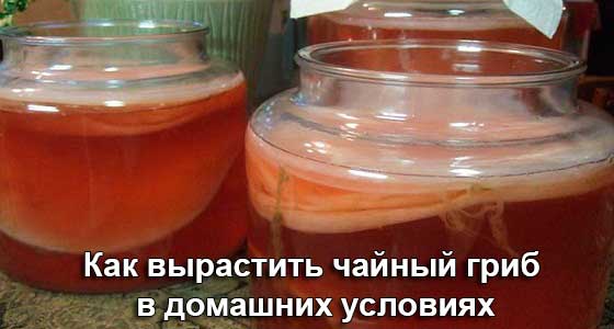 Как провести пижамную вечеринку Как проверить золото на подлинность в домашних условиях