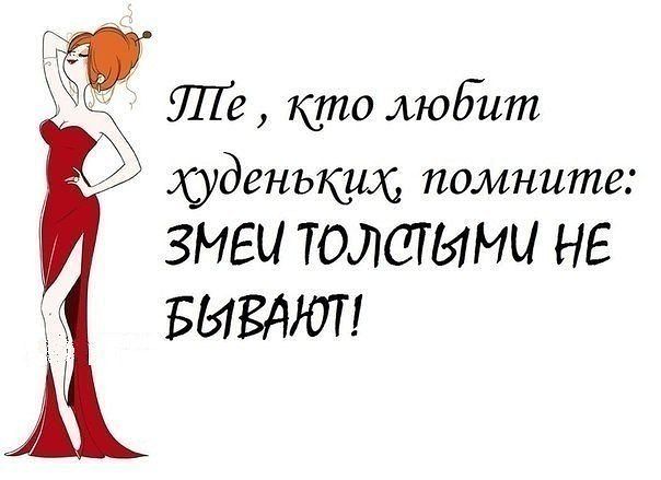 змеи.jpg