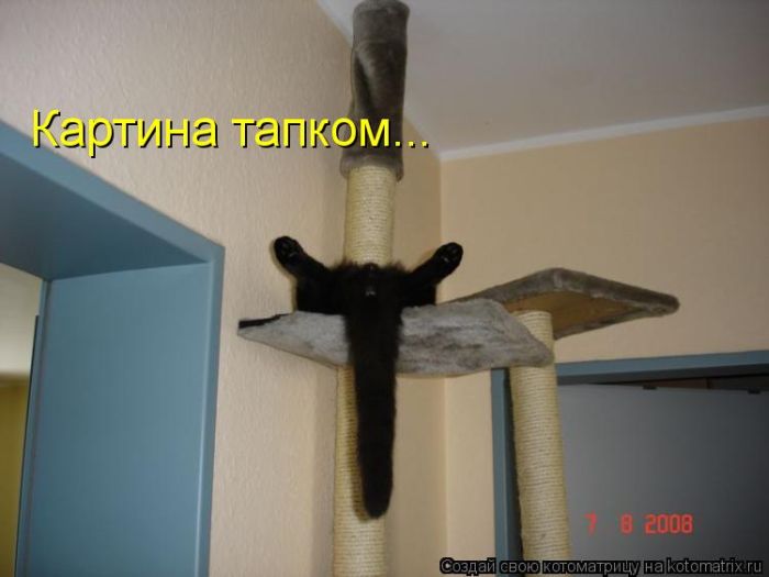 Котоматрицы великолепные, каждая с кусочком тепла, позитива и улыбкой! Котоматрицы великолепные, каждая с кусочком тепла, позитива и улыбкой!