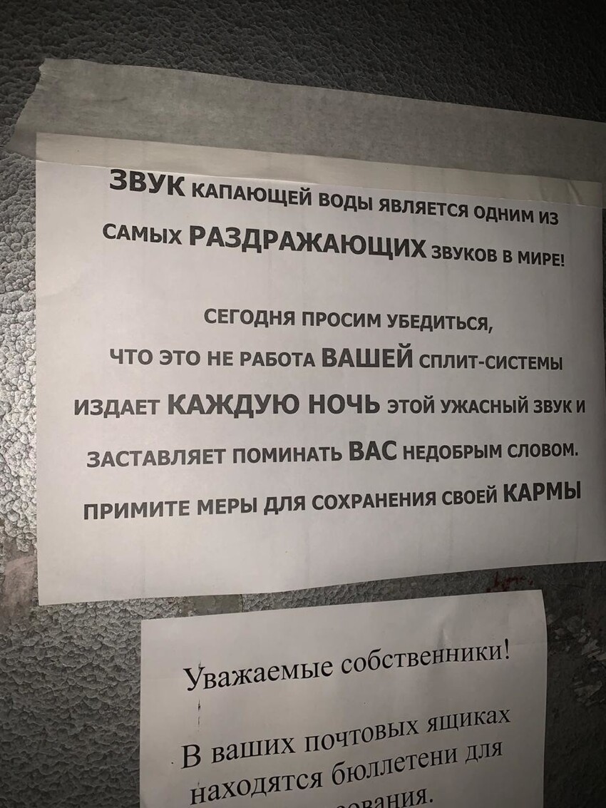 Соседи на тропе войны Соседи на тропе войны
(19 фото)