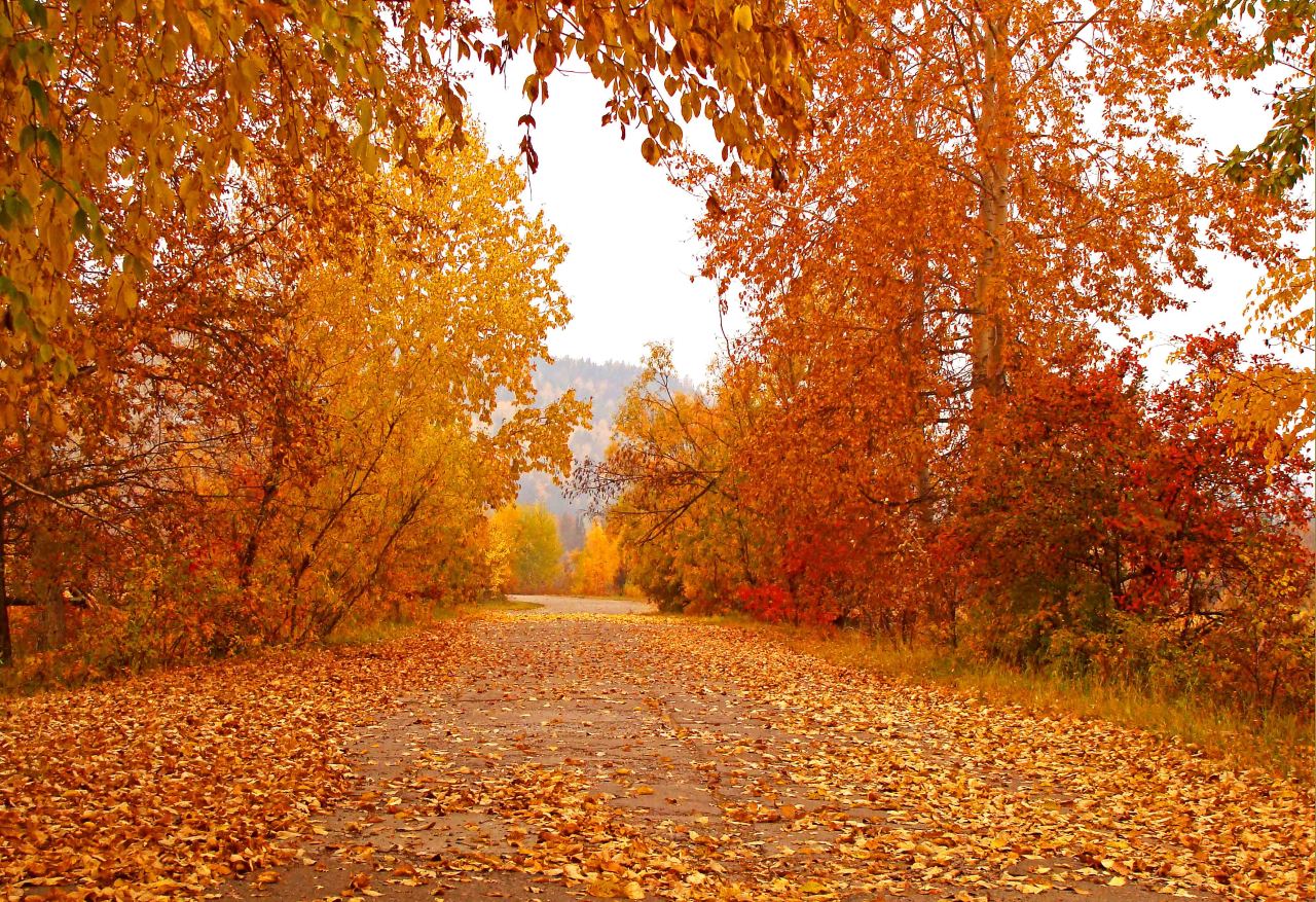 осень в сибири фото