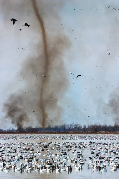 tornado-molniyami-ohotnik-krasivye-fotografii-neobychnye-fotografii