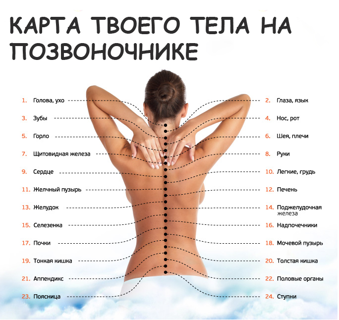 Узнай, как связан позвоночник с другими органами. Причина болей в спине может оказаться сюрпризом