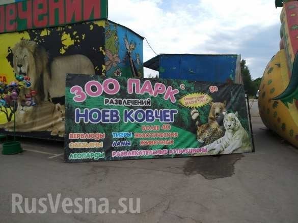 Лагерь смерти для животных: приехавший в Рязань передвижной зоопарк шокировал всех Лагерь смерти для животных: приехавший в Рязань передвижной зоопарк шокировал всех