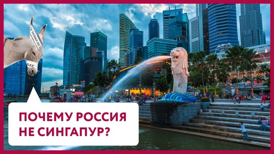 Почему Россия – не Сингапур? | Уши Машут Ослом (21)