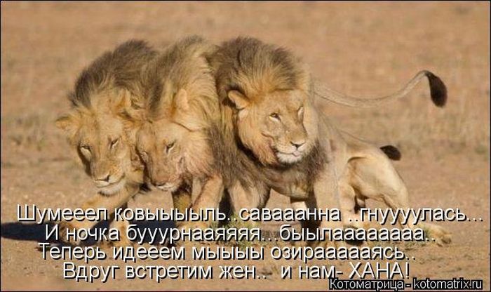 ����������� (49 ����)