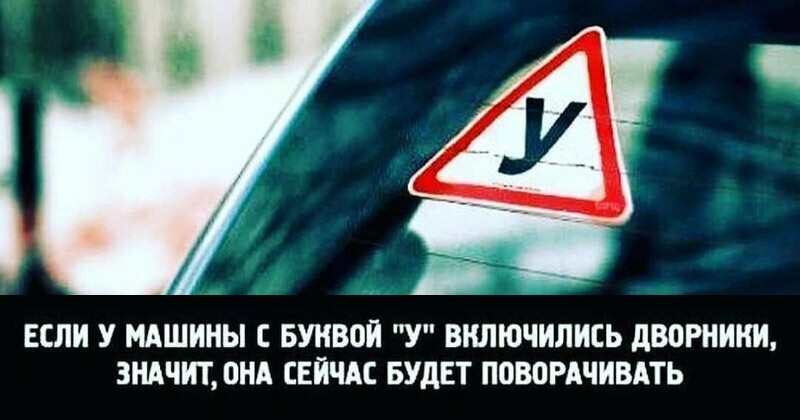 Внезапные истины, которыми люди делятся в интернете Внезапные истины, которыми люди делятся в интернете
(17 фото)