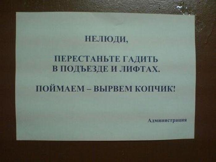 Соседи на тропе войны Соседи на тропе войны
(19 фото)