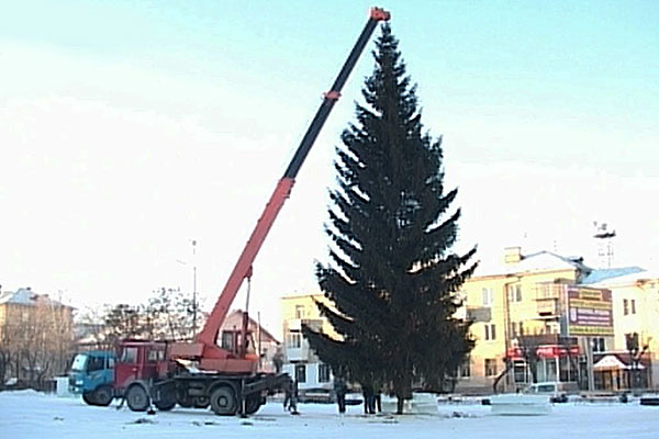 Ну просто елки-палки!