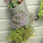 shoes-container-garden2-1.jpg