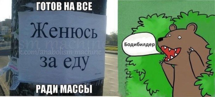 Искал идеальную женщину, а нашёл материал для сочной подборки Искал идеальную женщину, а нашёл материал для сочной подборки