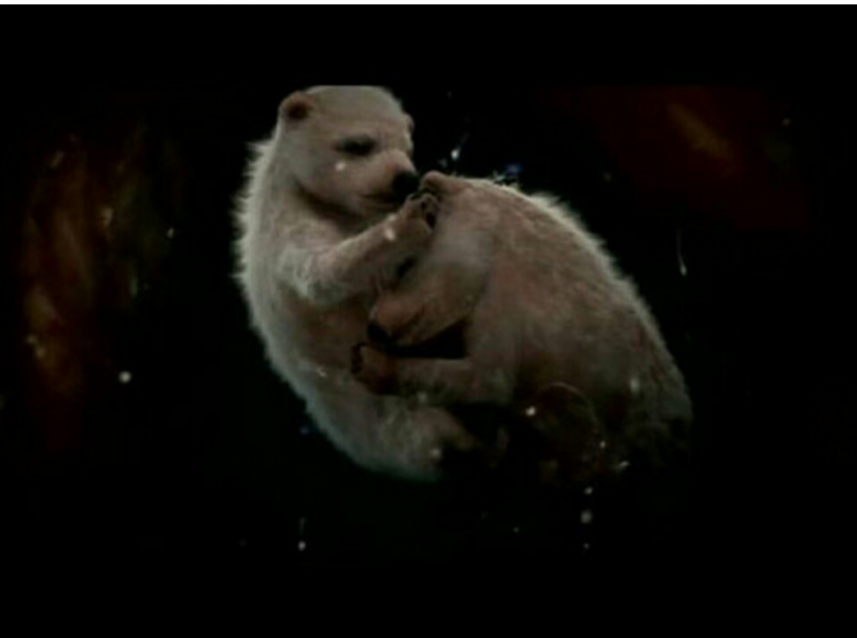 Картины жизни до жизни